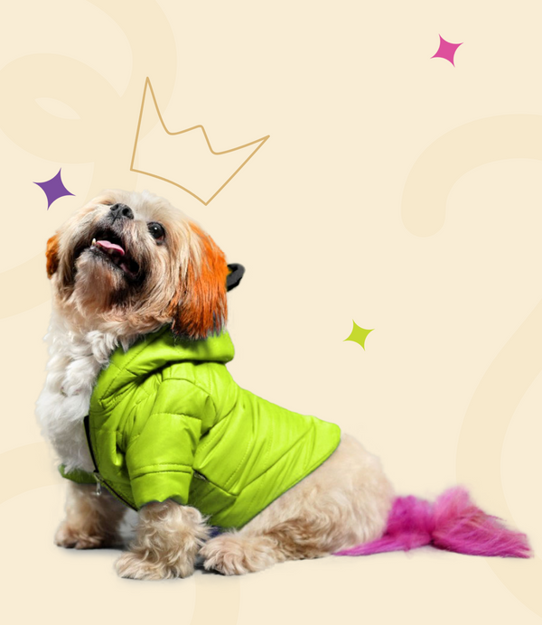 Rabbit styled Hoodie