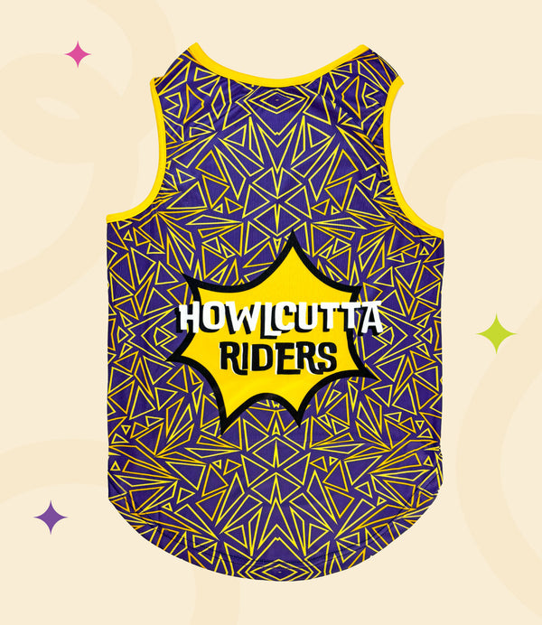 IPL Jersey for Dogs and Cats