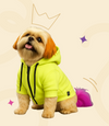 Neon Hoodie for Pets