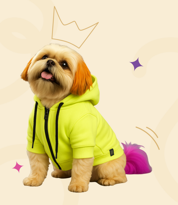 Neon Hoodie for Pets