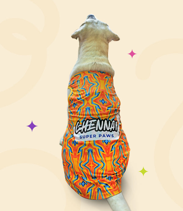 IPL Jersey for Dogs and Cats