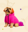 Neon Hoodie for Pets