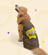 IPL Jersey for Dogs and Cats