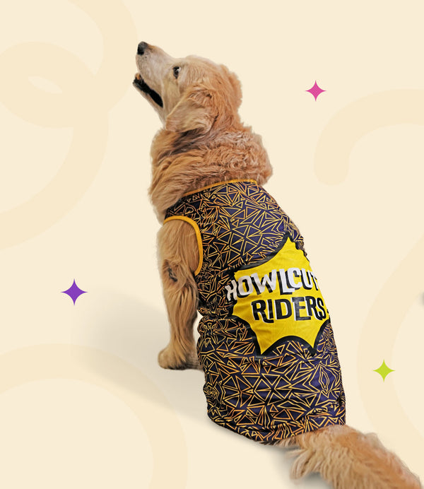 IPL Jersey for Dogs and Cats