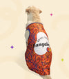 IPL Jersey for Dogs and Cats