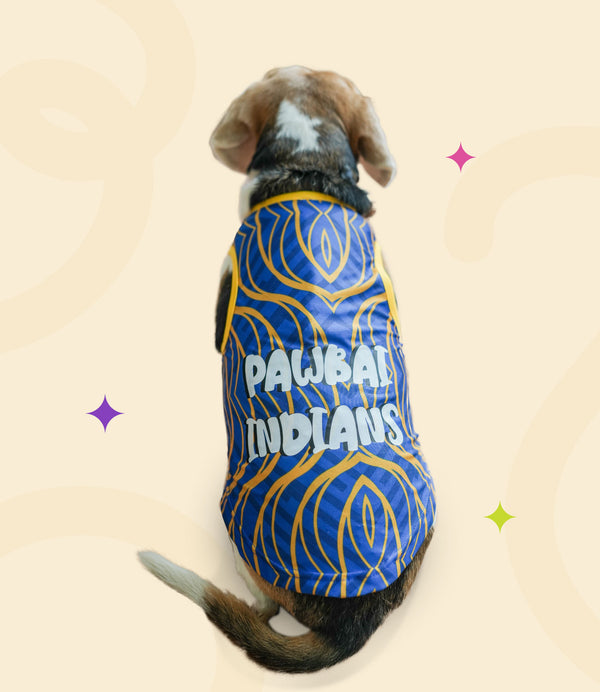 IPL Jersey for Dogs and Cats