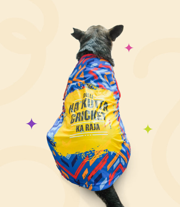 IPL Jersey for Dogs and Cats