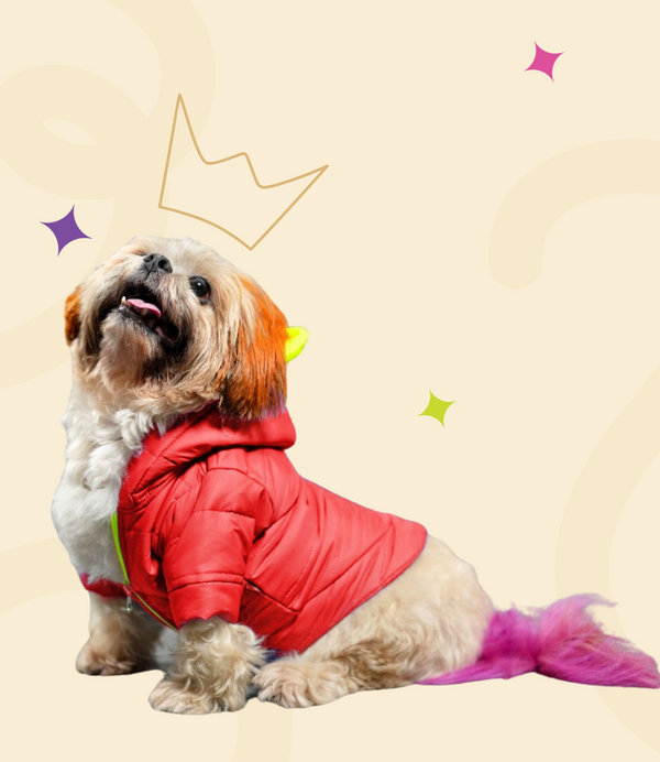 Rabbit styled Hoodie