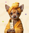 Shampoo (Pack of 3)