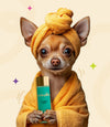 Shampoo (Pack of 3)