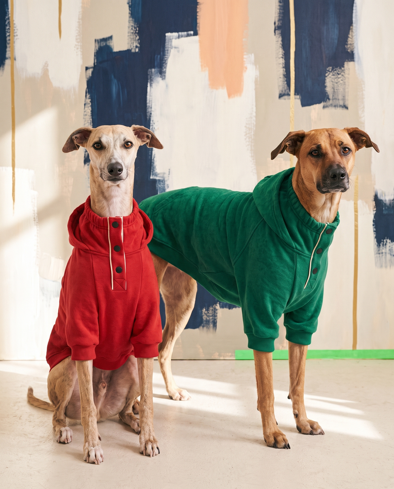 Fleece dog sweatshirt