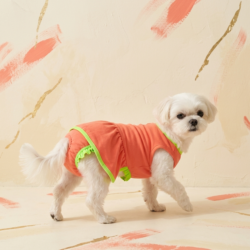 Dress with diaper