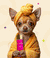 Shampoo (Pack of 3)